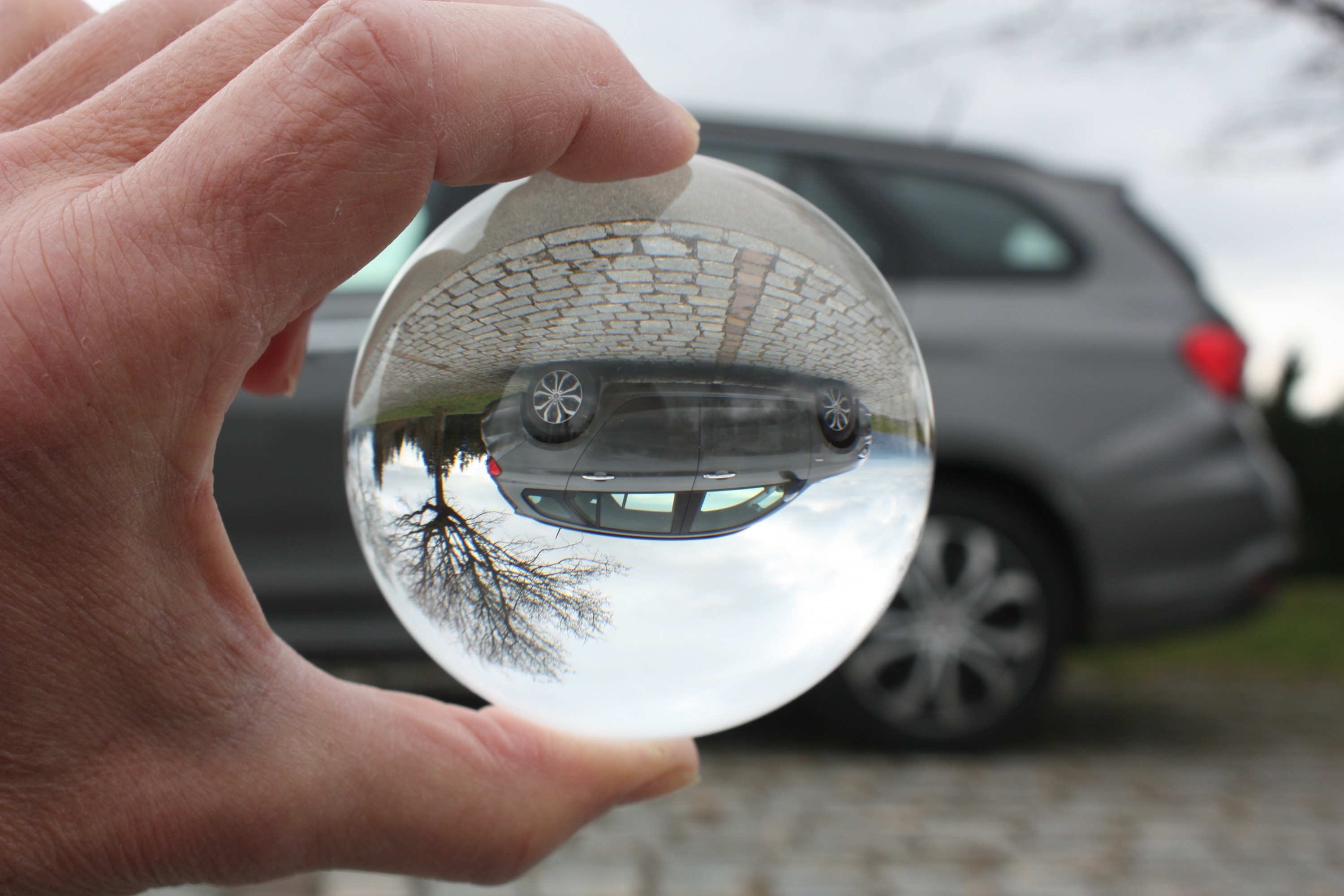 mein TIPO "steht Kopf"