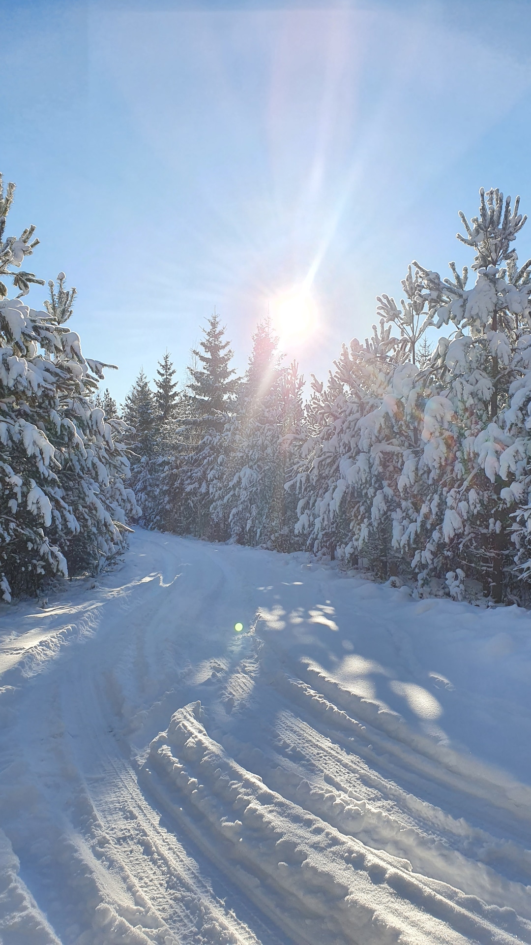 Winterspazierung in Südschweden