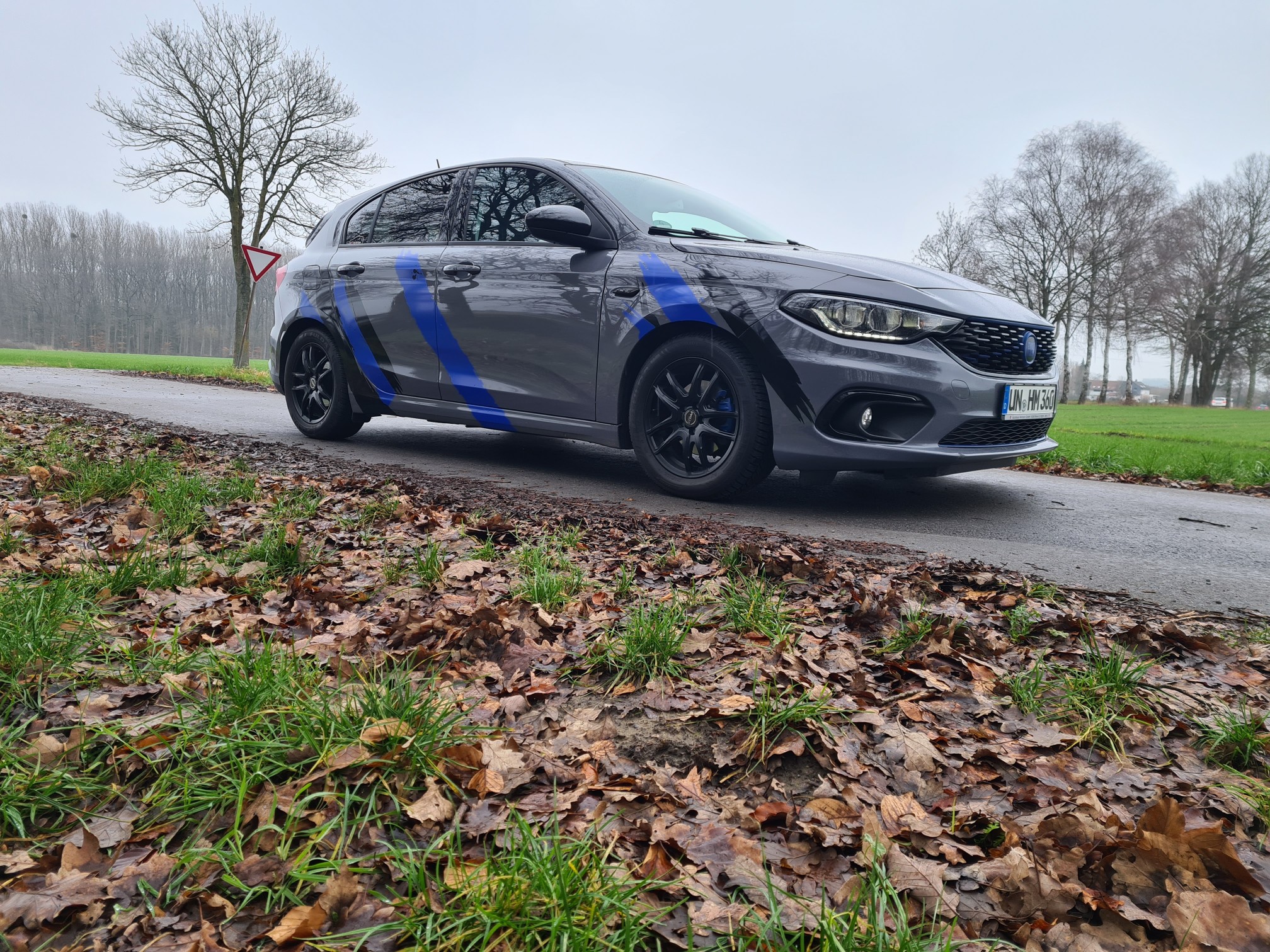 Der gestreifte Panzer