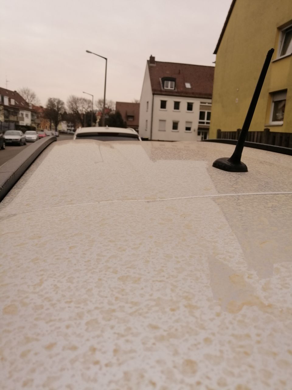 Vor zwei Tagen aufwendig geputzt und dann....