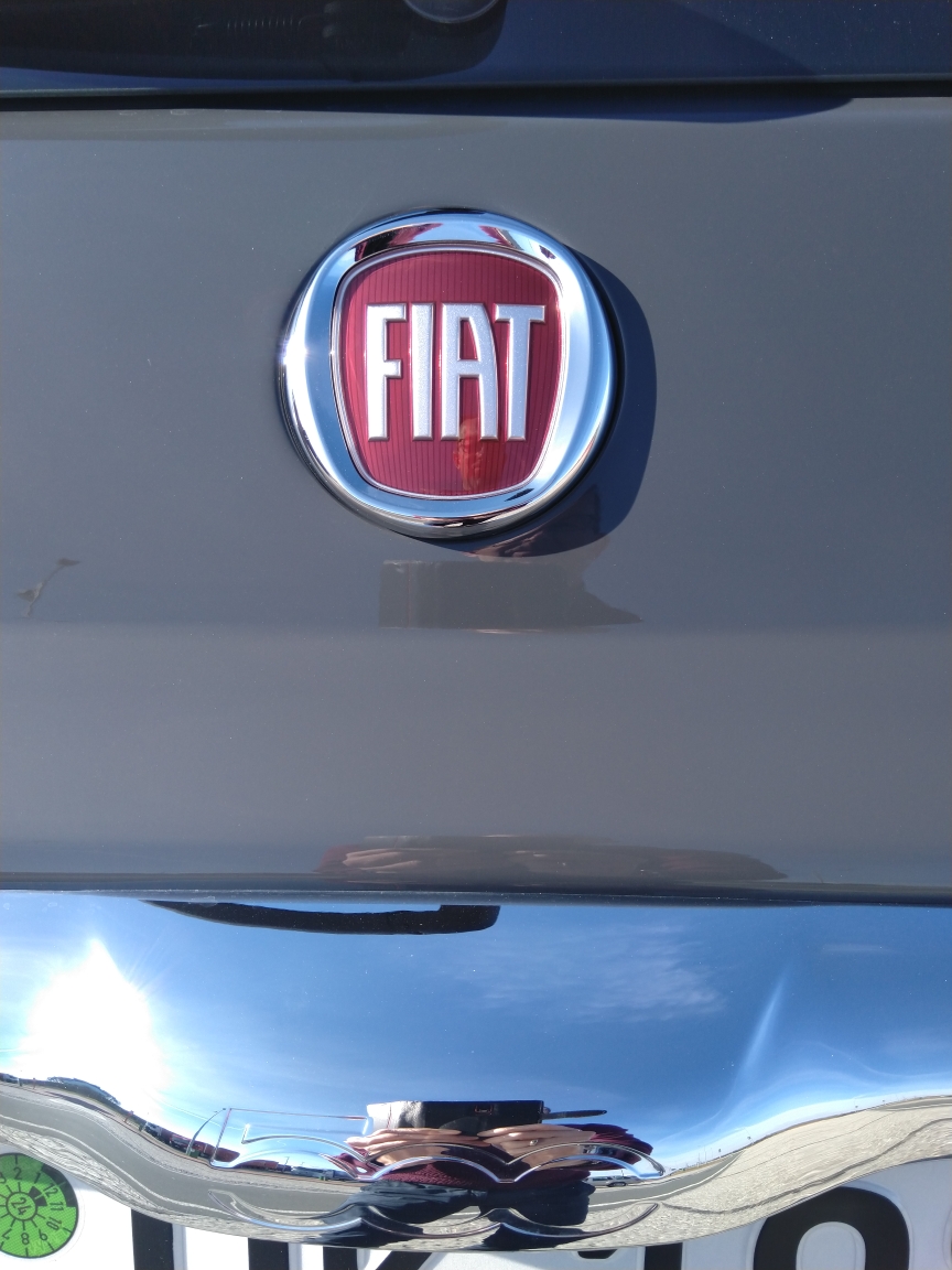 Tipo bekommt ein Geschwisterchen