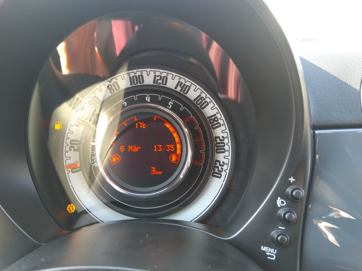 Tipo bekommt ein Geschwisterchen