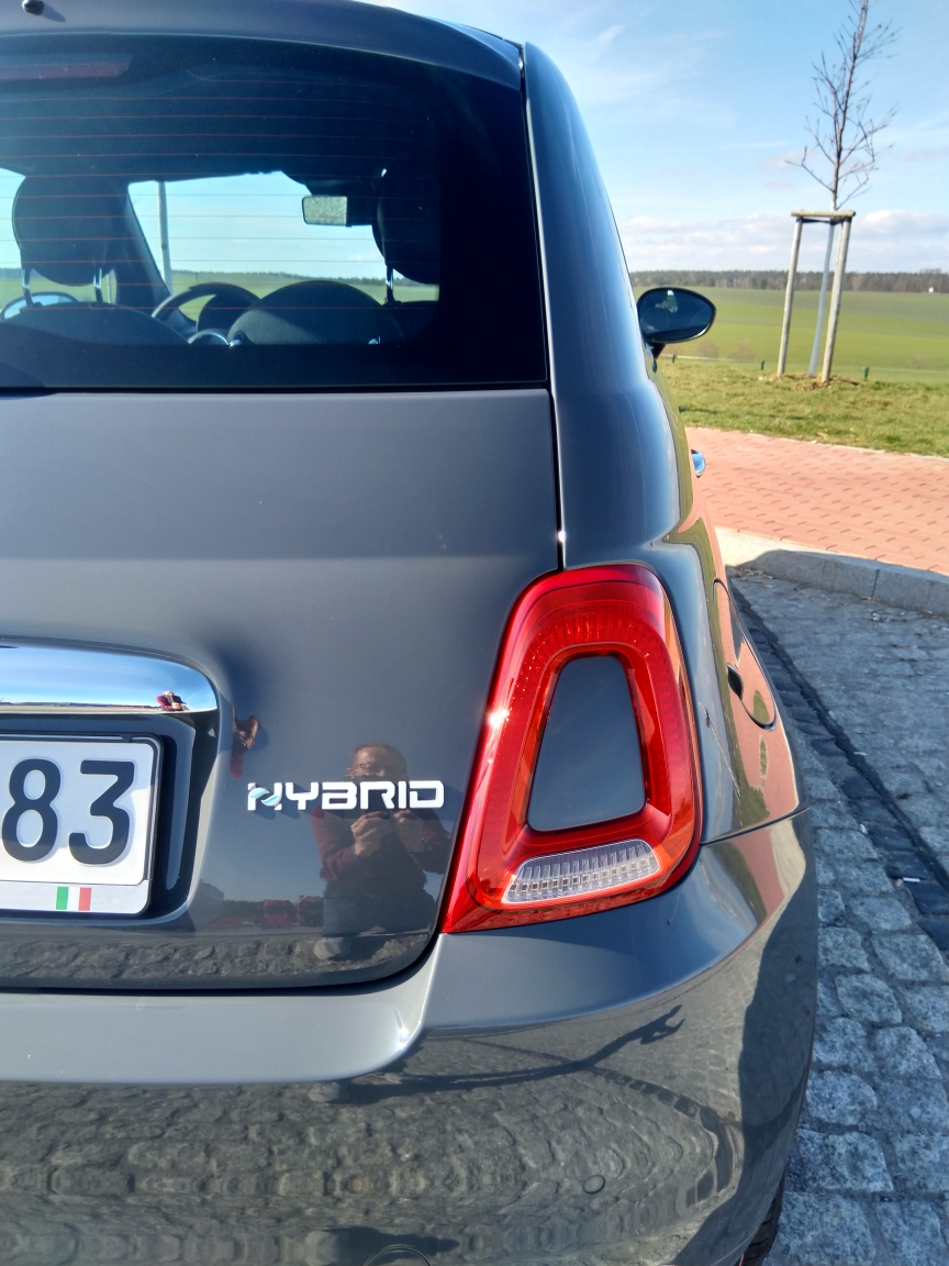 Tipo bekommt ein Geschwisterchen