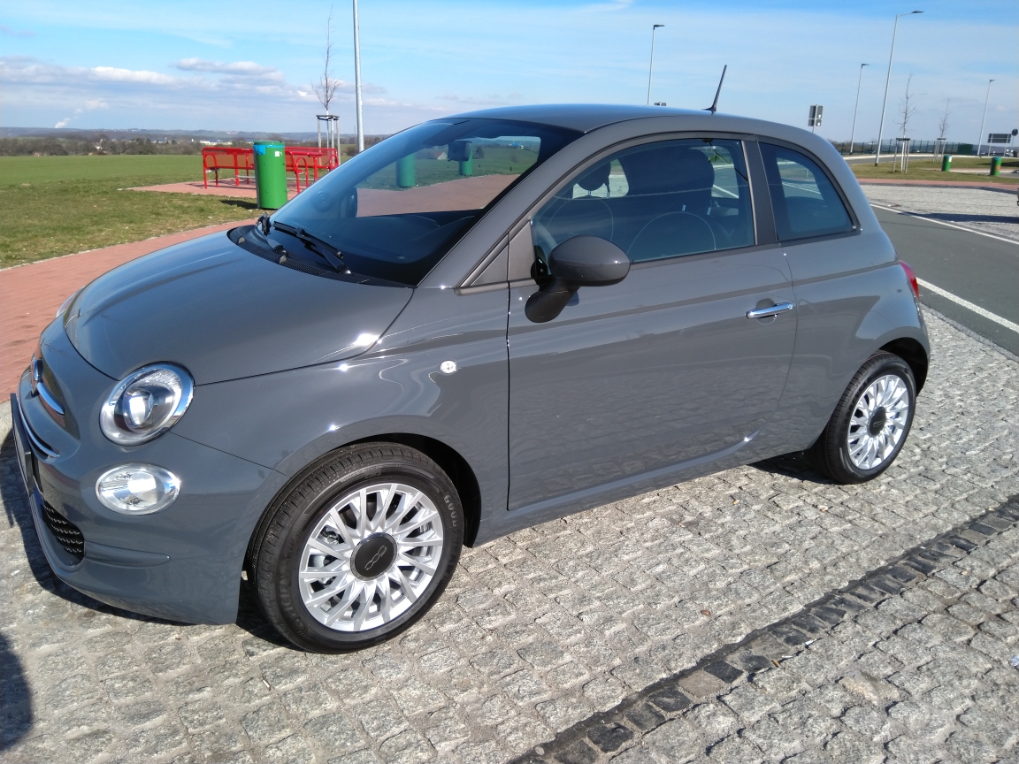 Tipo bekommt ein Geschwisterchen