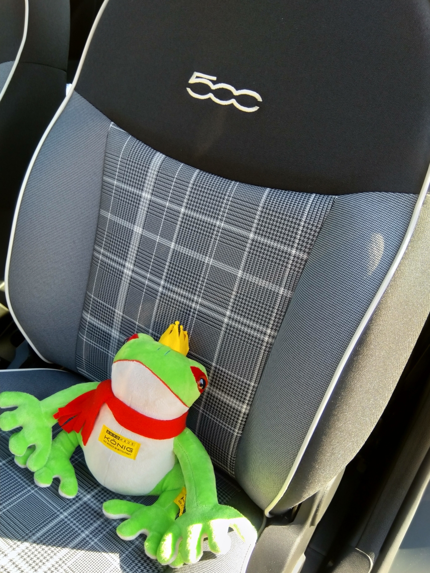 Tipo bekommt ein Geschwisterchen