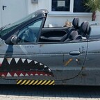 Grau, Maul, Flz-Design...passt