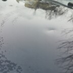 Scheiß Böller, armer Tipo