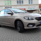 Mein Tipo *-* ( Frank aus Berlin )