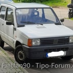 Fiat Panda entdeckt.