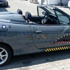 Grau, Maul, Flz-Design...passt