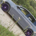 Tipo in freier Wildbahn gesichtet