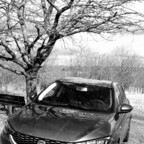 Warten auf den Frühling - mal bunt, mal grau - mit dem Tipo aber niemals langweilig.