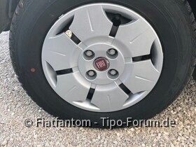 r-6GelfbG8SN8zUHyam7