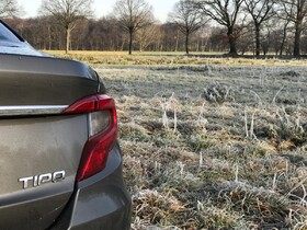 Winter (zwar ohne Schnee, aber kalt)