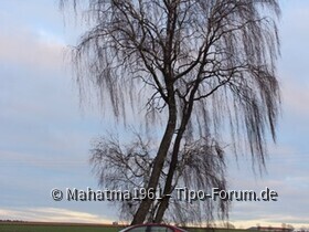 Dezember-Bauernhof-Stimmungen