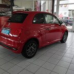 Luigi, unser neues Familienmitglied