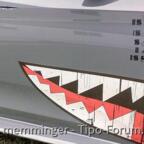 Der jüngste in meiner Garage