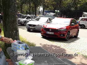 Rast auf dem Weg nach Amrum