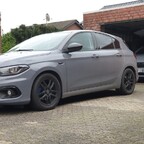 Hier muss ein Nest sein, haben Nachwuchs bekommen...