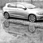 Warten auf den Frühling - mal bunt, mal grau - mit dem Tipo aber niemals langweilig.