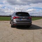 Tipo im Sommerlook (Heck)