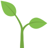 Seedling :1f331: